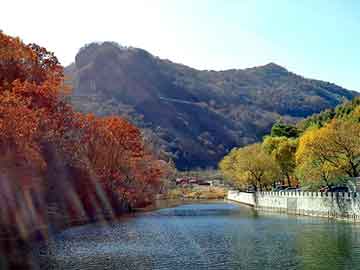 新澳天天开奖资料大全旅游团，青田石价格